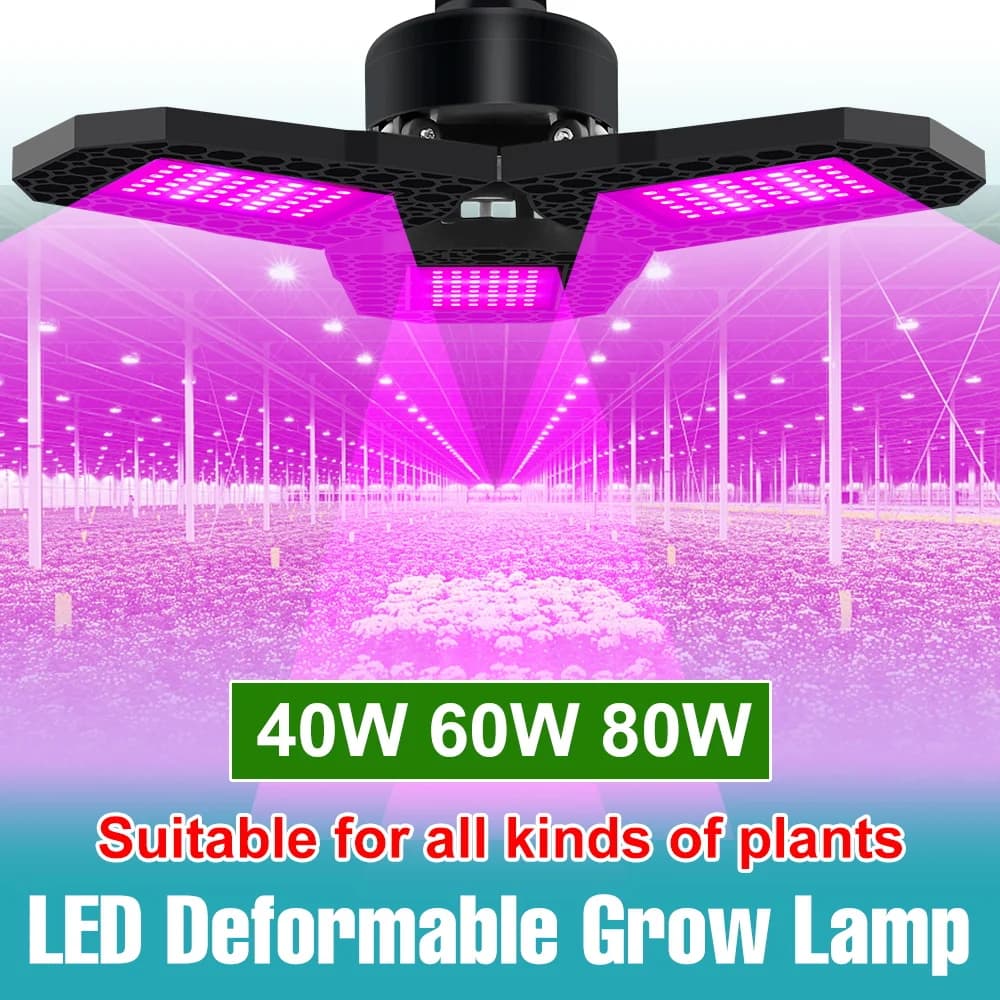 Lampadina LED per Coltivazione a Spettro Completo 80W E27/E26, Illuminazione per Piante da Interno, Serre, Semenzai, Frutta, Verdura e Fiori