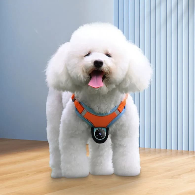 Personalized 2024 New registration Sports camera for pets with harness Mini camera for action with magnetic thumb External video recording for pets Wireless