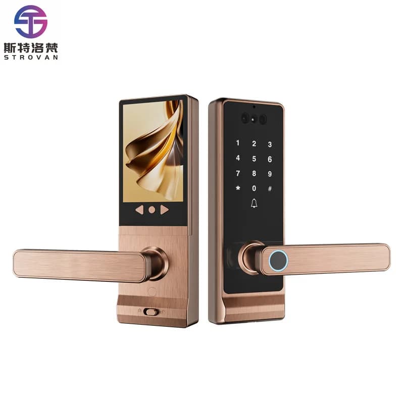 -Chiusura intelligente con catenaccio Riconoscimento facciale 3D Accesso alle vene del palmo Spioncino Dati cloud per codice in lega di alluminio per legno