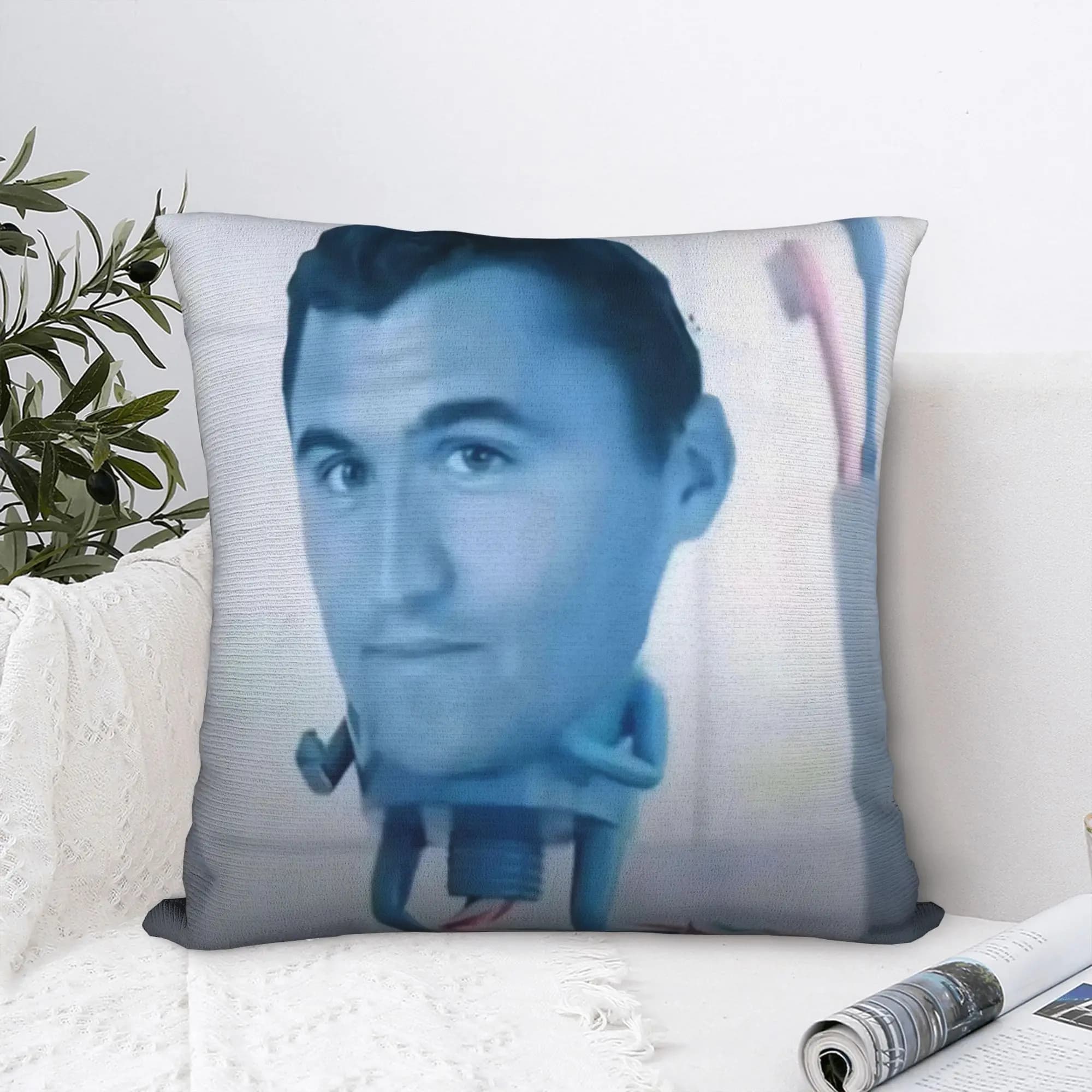 Stylish Sofa Charlie Kirk funny meme Decorations Pillowcase Merch Pillow Covers Zippered Multi-Size