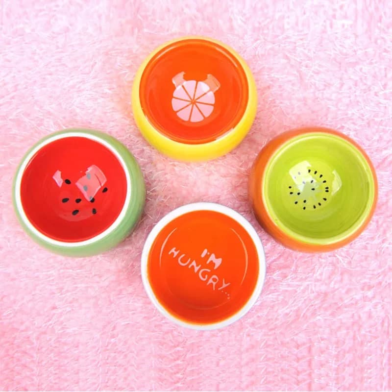 Ciotola per animali domestici in ceramica colorata alla frutta alla moda Scoiattolo Orso dorato Criceto Gatto Cucciolo Ciotola per cibo Anguria Kiwi Modello Alimentatore per cani