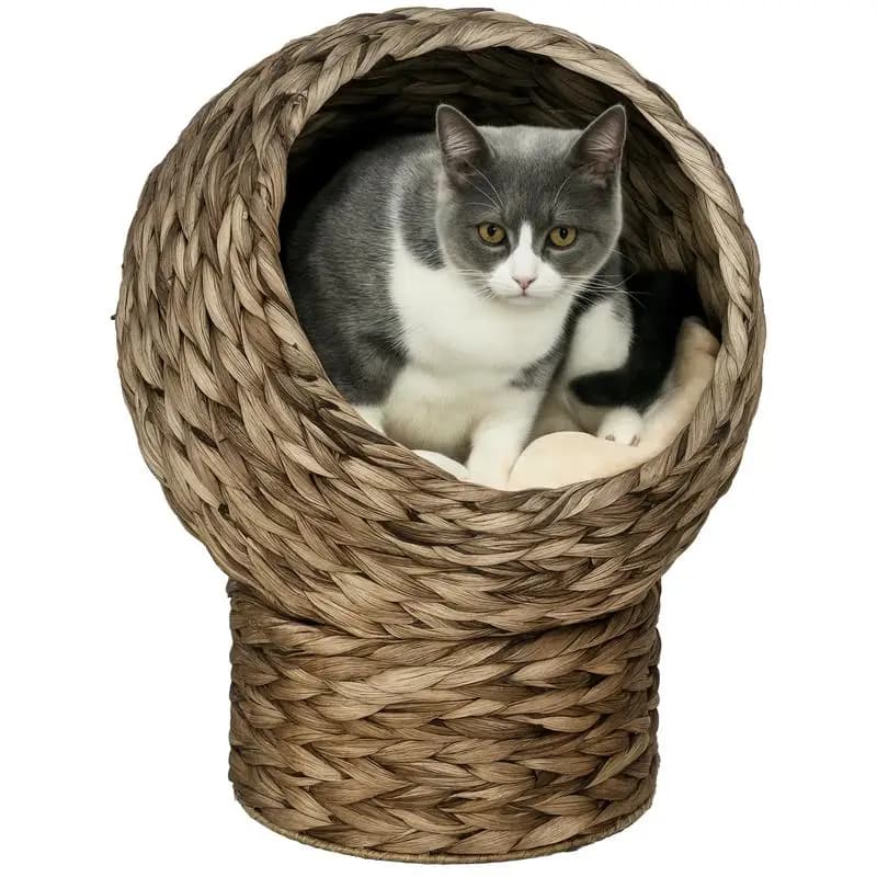 Cuccia rialzata per gatti PawHut intrecciata a mano con cuscino morbido e forma a uovo, Cuccia a cestino per gatti con supporto, Cuccia rialzata in vimini per gatti da interno, 50 cm H, Grigio