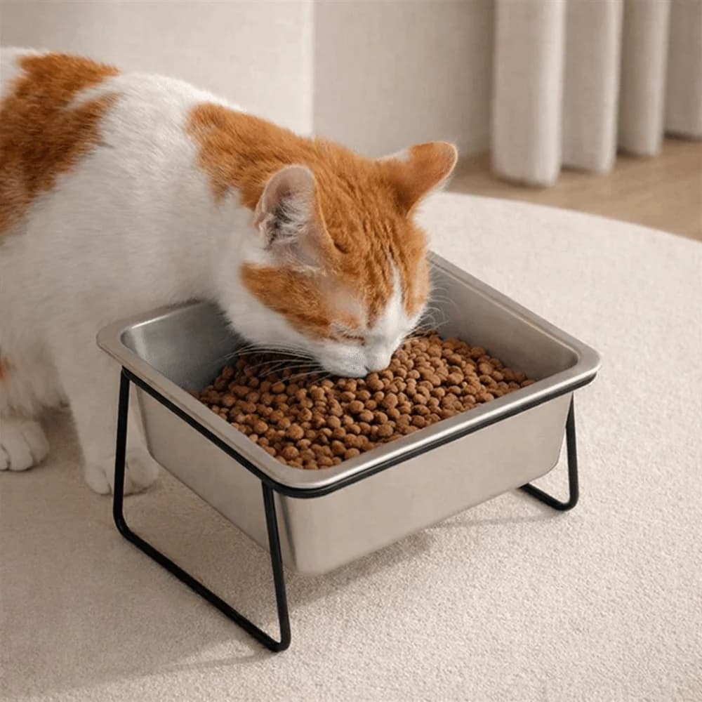 Ciotola per Cani in Acciaio Inossidabile con Supporto Rialzato per Protezione del Collo, Ciotola Anti-Ribaltamento per Acqua e Cibo per Cani e Gatti