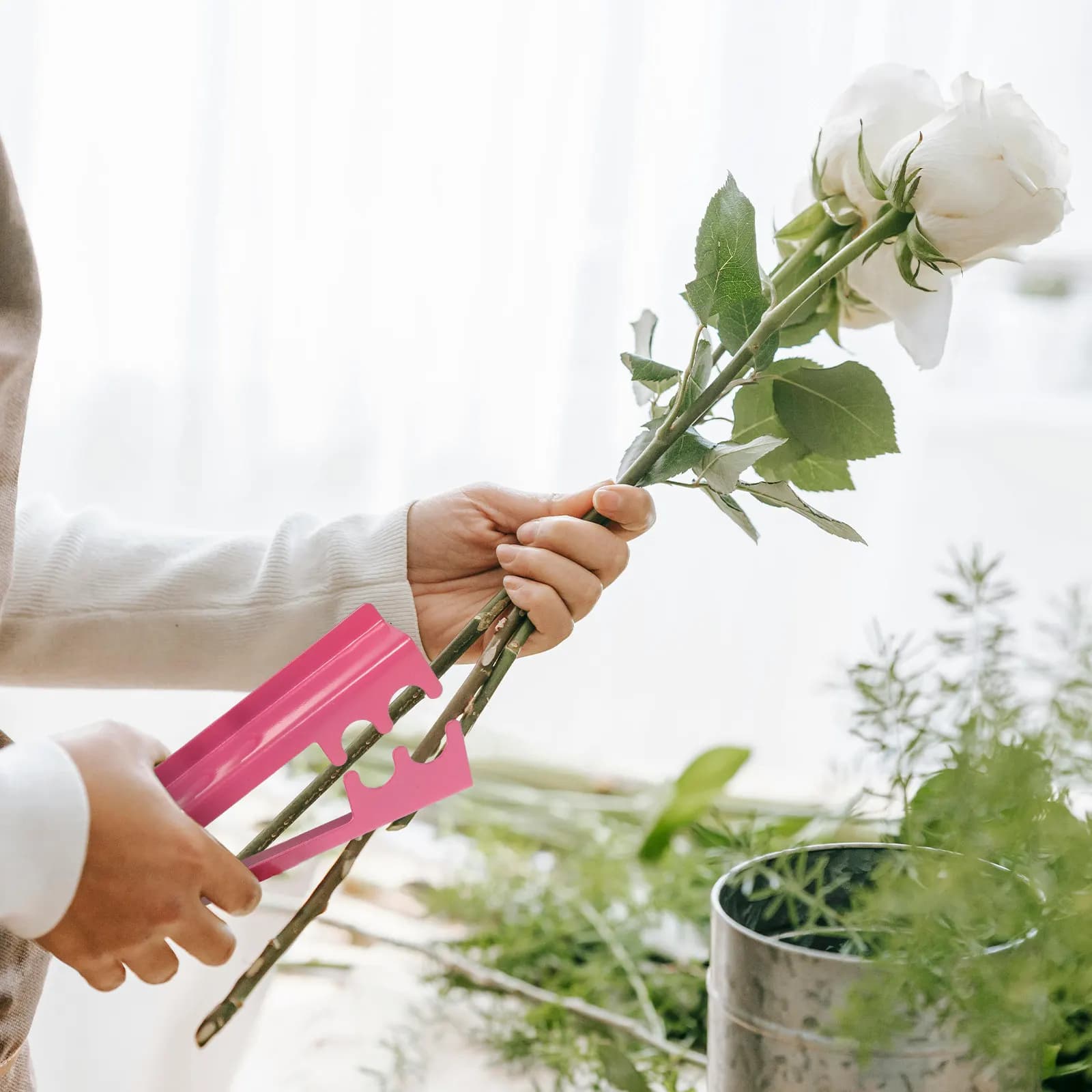 Set di 2 Strumenti per Rimuovere Spine: Forbici Rosa a Forma di Cuore 12cm e Strizzatore per Foglie di Rosa 14cm, Attrezzi per Fioristi e Fai-da-Te