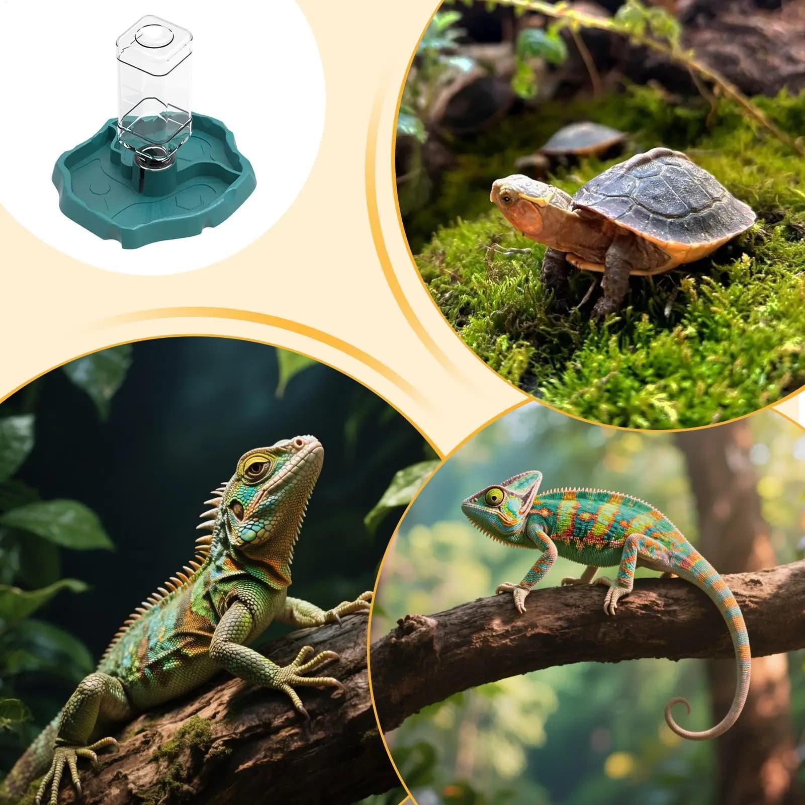 Ciotola per acqua per tartarughe 2 in 1, abbeveratoio staccabile per terrario, ciotola per cibo e acqua per rettili, gechi, serpenti, tartarughe, rane, camaleonti