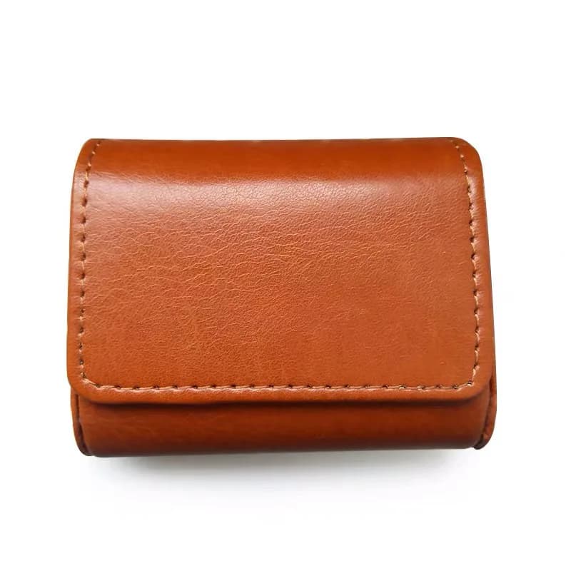 Borsa Portatile SIWRE per Auricolari, Custodia da Viaggio per IEM, Adatta per Cuffie, Auricolari e Cavi