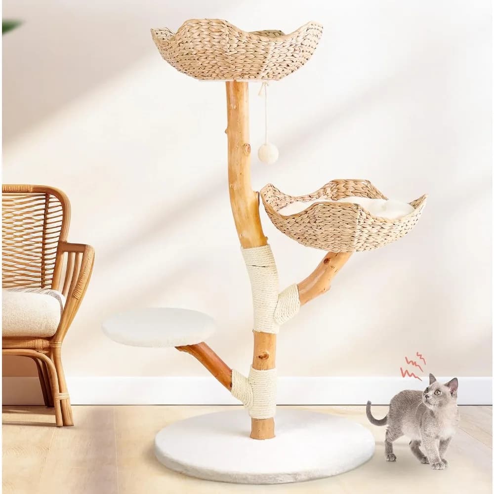 Torre moderna per albero per gatti in legno, tiragraffi per gatti con letto per gatti da interno di grandi dimensioni, torre da arrampicata in legno massello, moneta carina