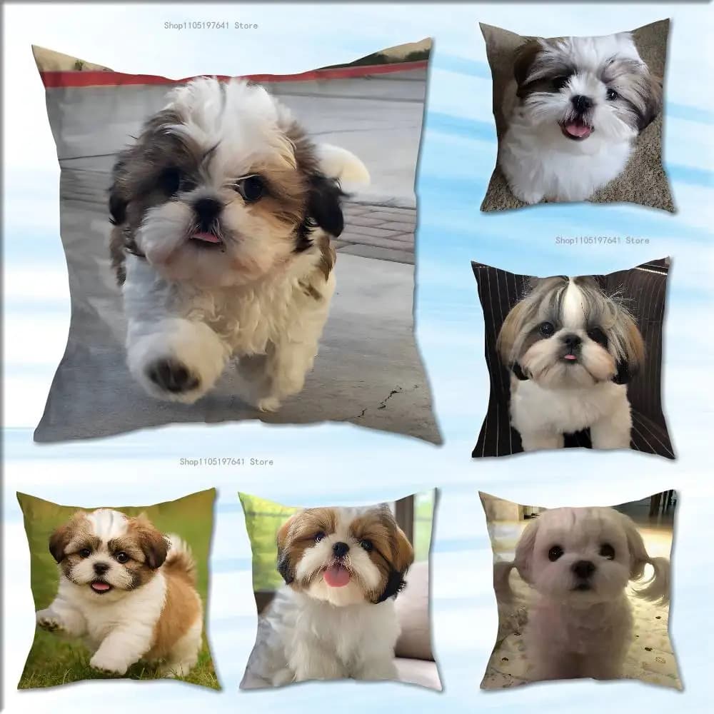 Fodera per cuscino in peluche con motivo Shih Tzu, decorazione per la casa, per divano, letto, sedia, soggiorno