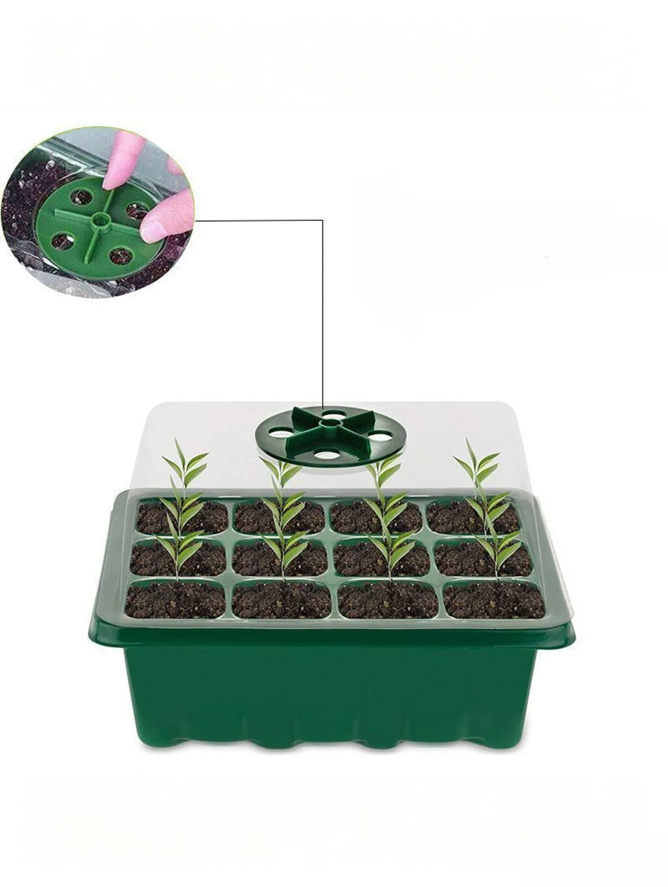 Vassoio per piantine da 1/2 pezzo con 6/12 fori, in plastica ispessita con fori di drenaggio. Ideale per la germinazione di piante succulente, utilizzabile in interni ed esterni.