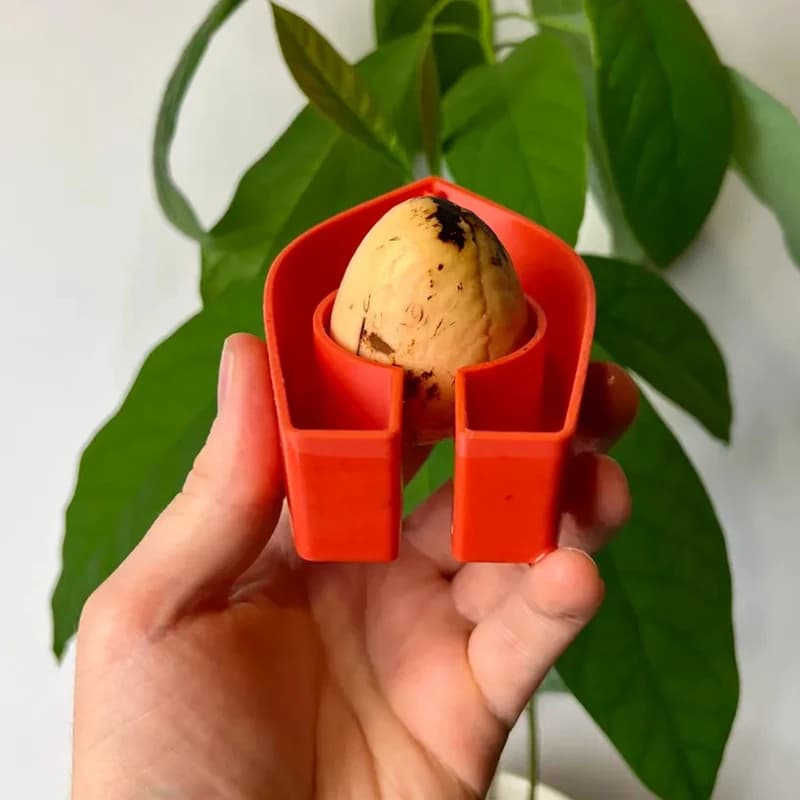 New Colored Avocado Shape Floating Vases for Hydroponic Coltivation, Avocado Tree Growth Kit, Semi-Hyponic Seed Starter