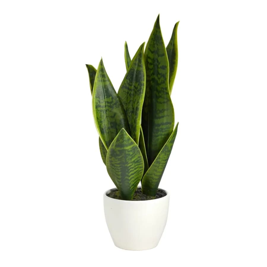 16" Sansevieria Artificial Plant in Green
