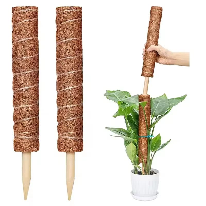 30/40/50CM Plant Climbing Pole–Palm Stick Vine Support, Extension Stakes for Potted Plants, Moss Pole Garden Tool, Flower Decor