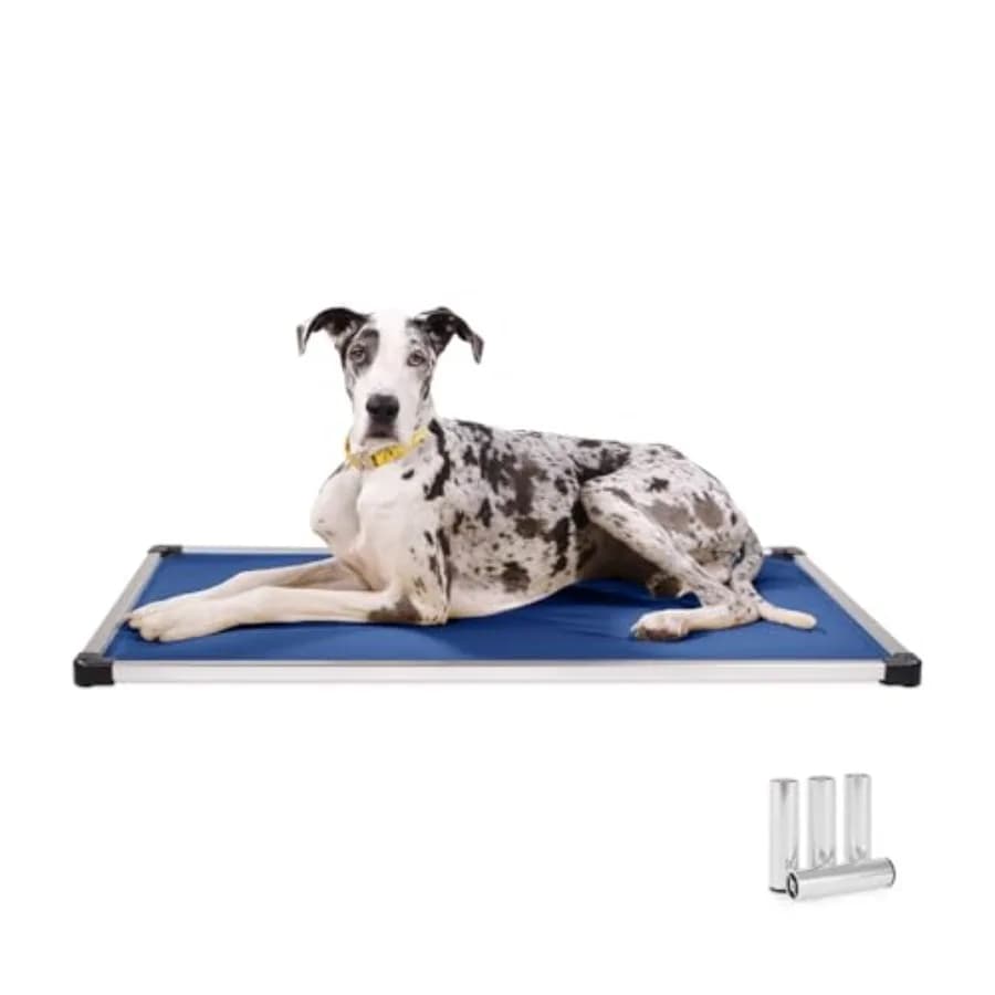 Cuccia per cani rinforzata e anti-morso, praticamente indistruttibile, blu, XX-Large, 50 L x 33 L x 8 H, con gambe incluse