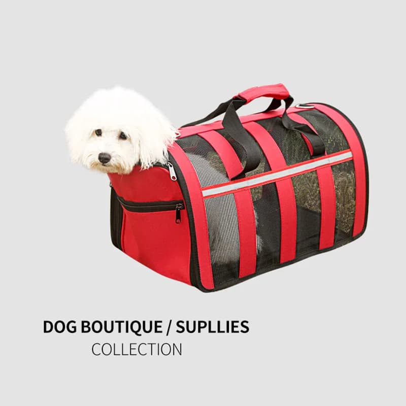 Zaino porta animali pieghevole - Borsa portatile per cani e gatti in rete traspirante per viaggi, borsa porta gatti leggera e portatile