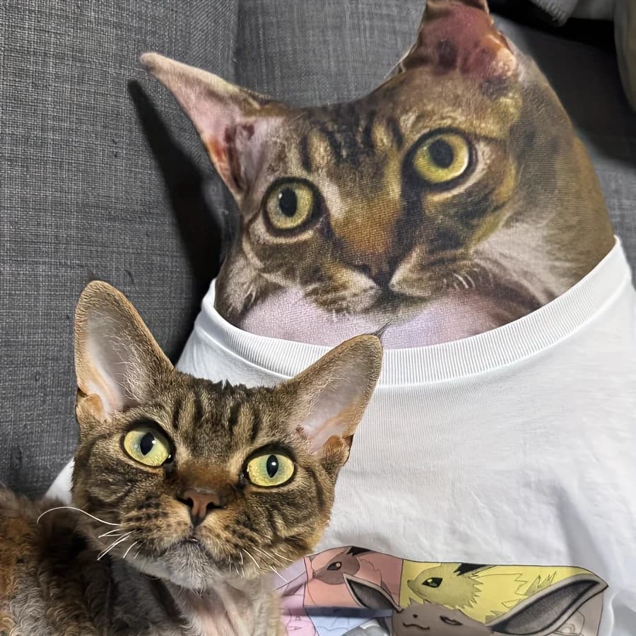 Cuscino per gatti 3D personalizzabile: morbida fibra di poliestere, adatto per la decorazione di divani e camere da letto, regalo unico per amici e familiari