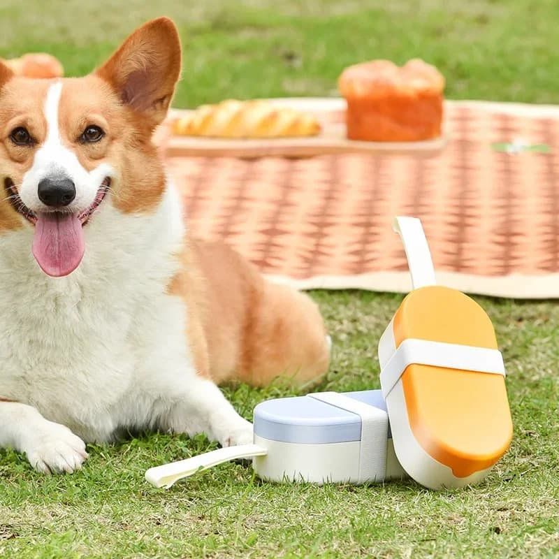 Nuova bottiglia d'acqua portatile 2 in 1 per cani e contenitore per alimenti Dispenser d'acqua per animali domestici a prova di perdite Ciotola per cani per gatti per escursionismo Camminare Viaggi