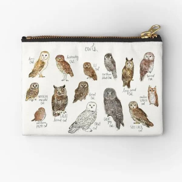Gufi Zipper Pouches Bag Pure Underwear Packaging cosmetico Key Pocket Money mutandine calzini donna uomo portafoglio piccolo portamonete
