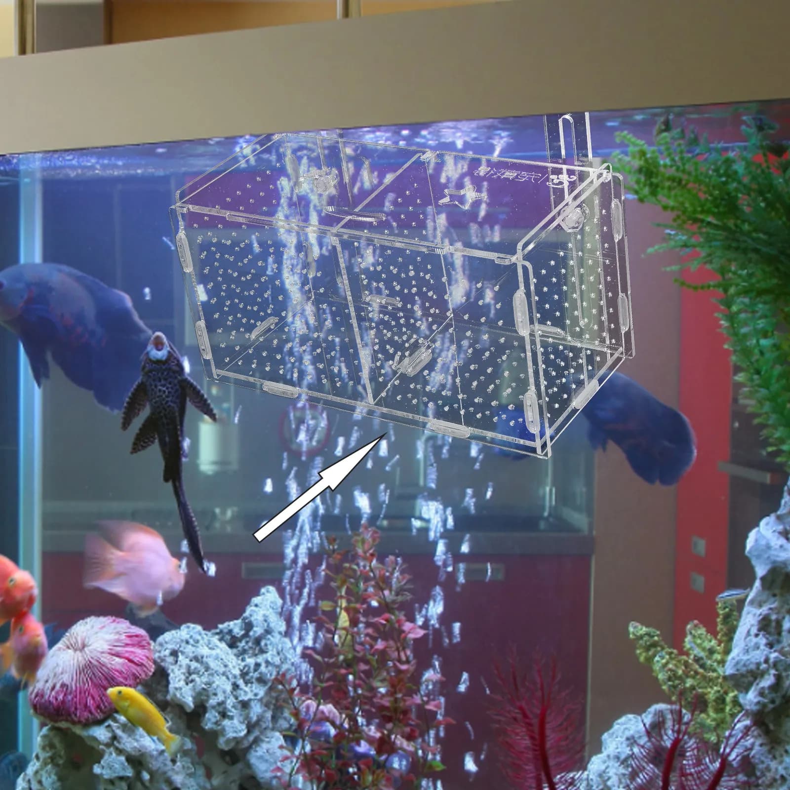 Set of 1 Pisces Incubation Box, Water Breeding Container, Transparent Design, Easy to Clean, Compact for Domestic Fish