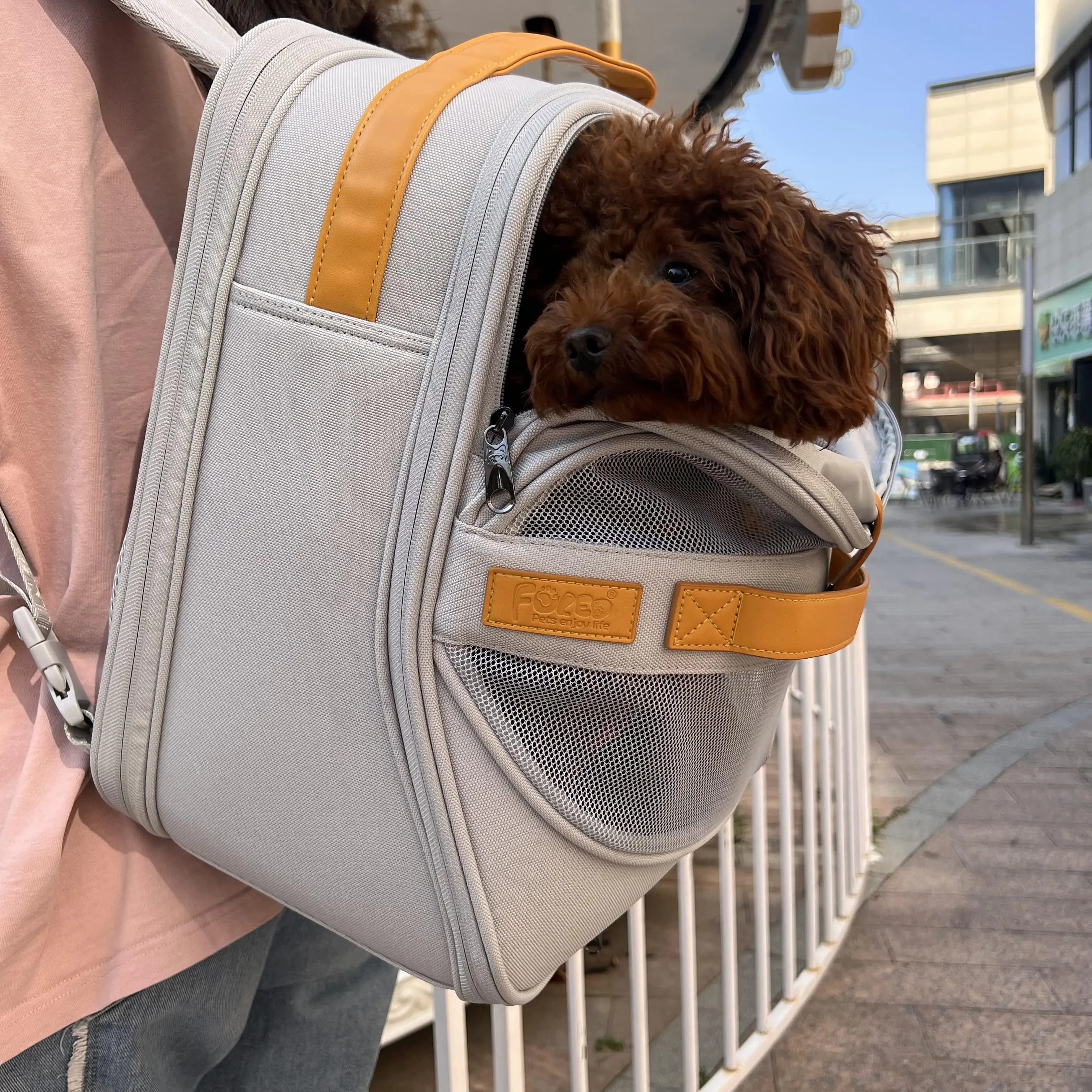 Zaino traspirante per cani per cani e gatti di piccola taglia e media con design Head out Comodo viaggio escursionistico a mani libere