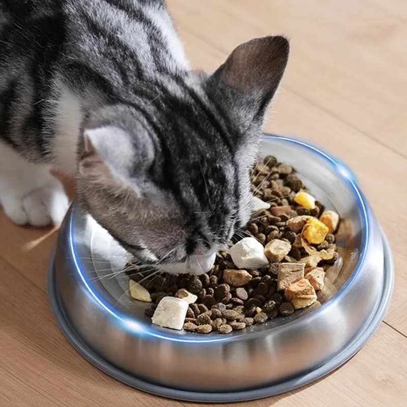 Ciotole per Cani in Acciaio Inox 304, Ciotole per Animali Domestici con Texture Ondulata, per Cibo e Acqua, per Cani di Piccola e Media Taglia