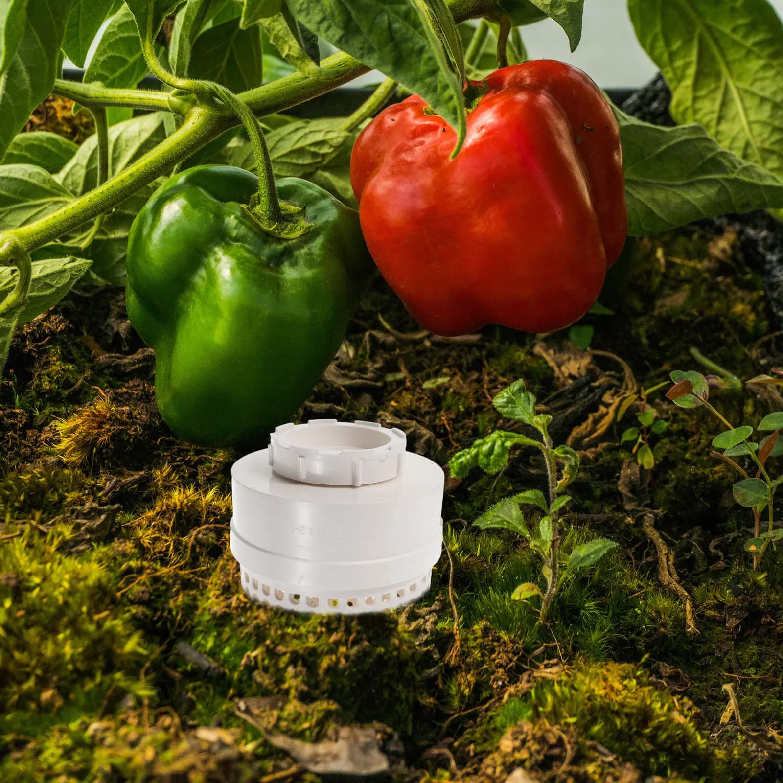 Composter Sotterraneo per Vermi, Contenitore in Plastica per Lombrichi con Coperchio Ventilato, Composter da Giardino Interrato per Riciclo Cucina
