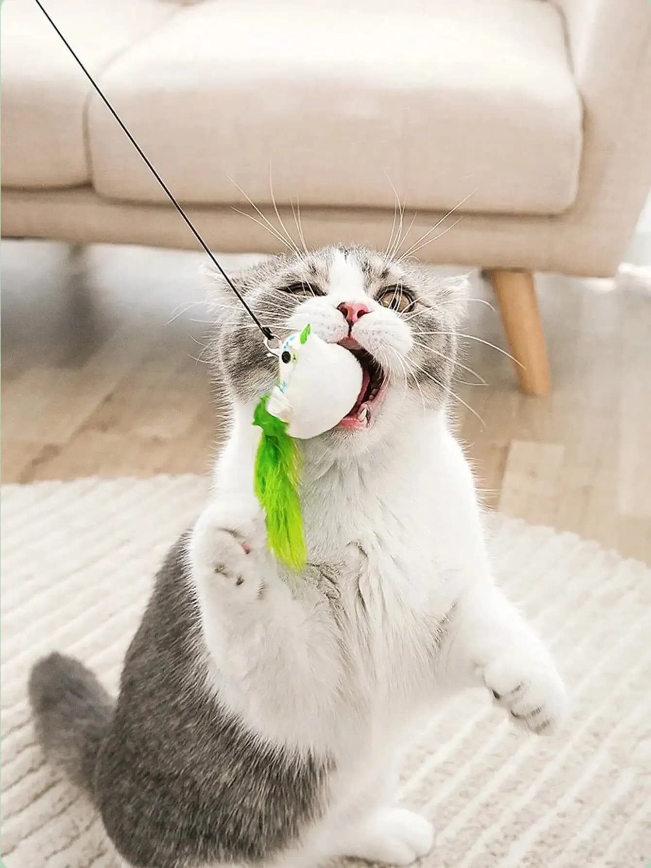 Giocattolo Interattivo per Gatti, Simulatore di Uccello con Ventosa, Piume e Campanello, Divertente Gioco per Gatti