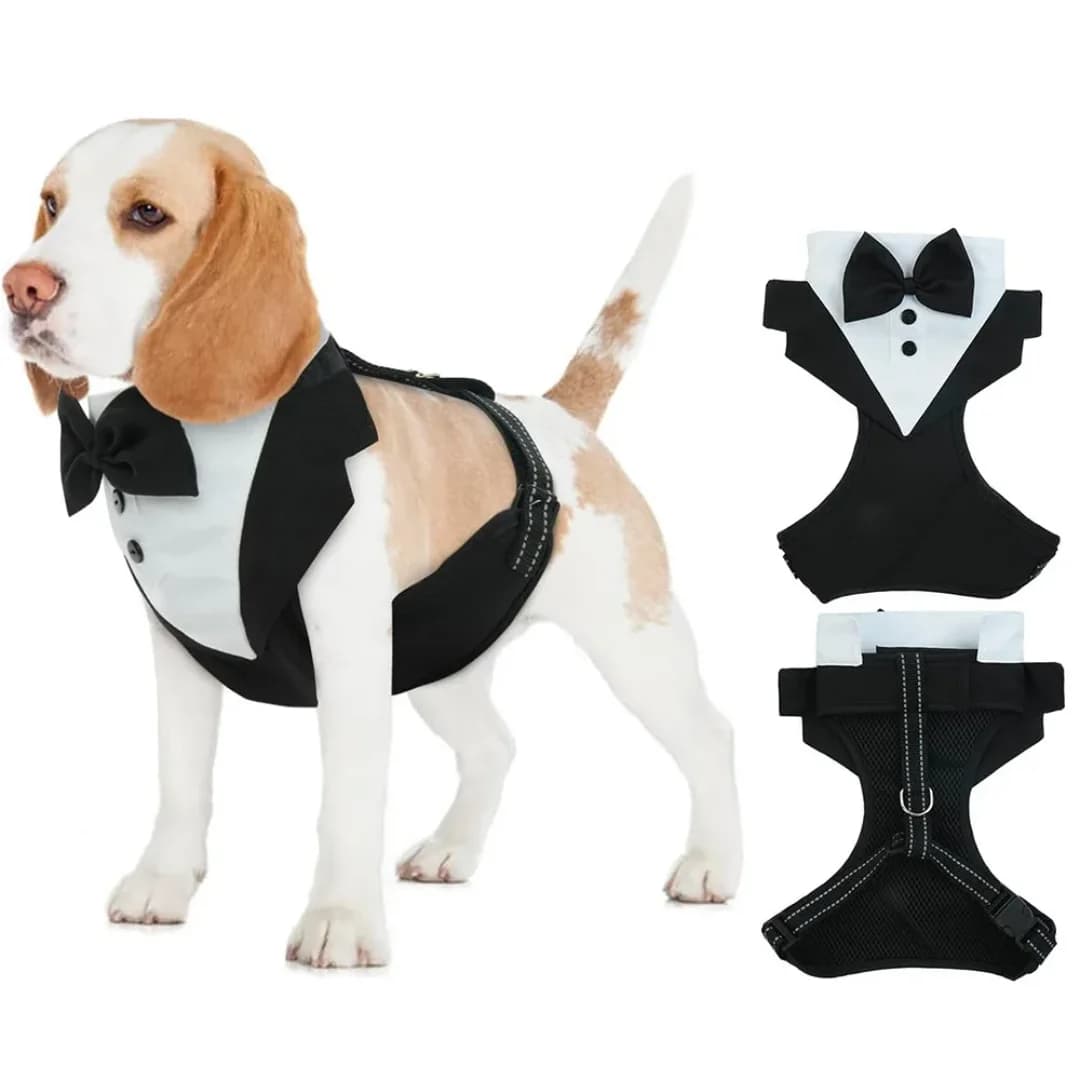 Smoking vest for Dogs with Papillon, Wedding Dress for Dogs of Small Size, Party Costume for Puppies with Pettorale Strap