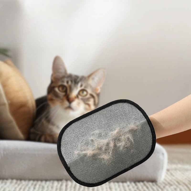 Guanti per depilazione con elettricità statica per animali domestici Strumento per toelettatura riutilizzabile Cani Gatti Pelliccia Guanti per pulizia statica Tappeti Puliti mobili