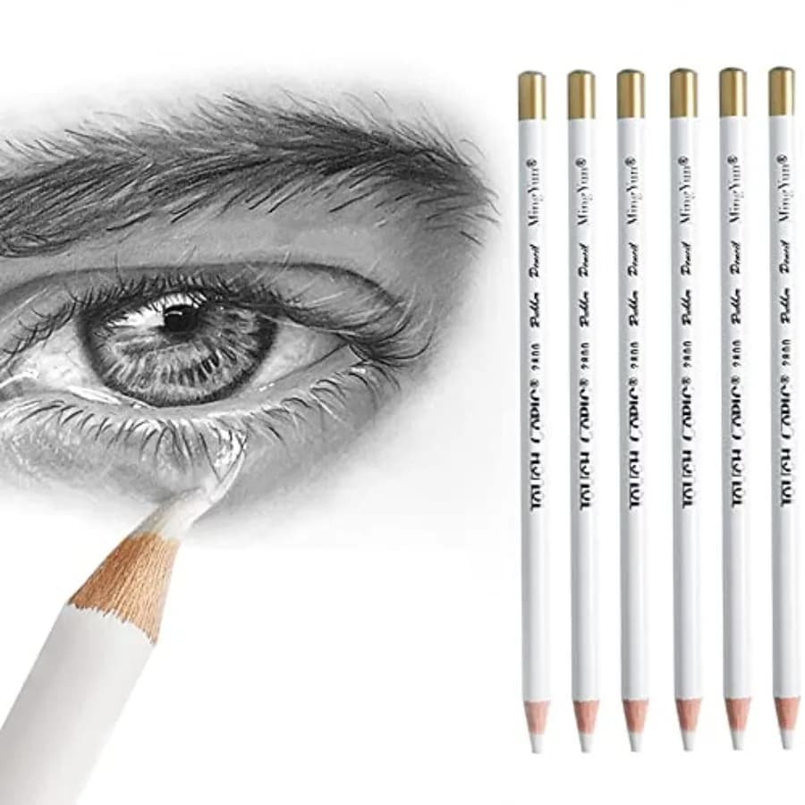 Eraser Pencils Set for Artists, Wooden Sketch Professional Highlight Painting Eraser Pen for Sketching Charcoal Drawings, Revis