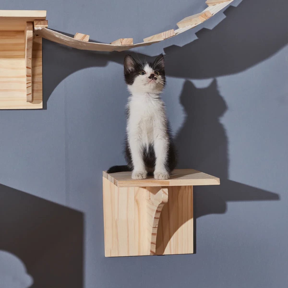 Portico per gatti in legno, scala a ponte sospesa a parete, struttura per arrampicata su gatti con amaca e area di gioco per gatti con piattaforma in legno massello