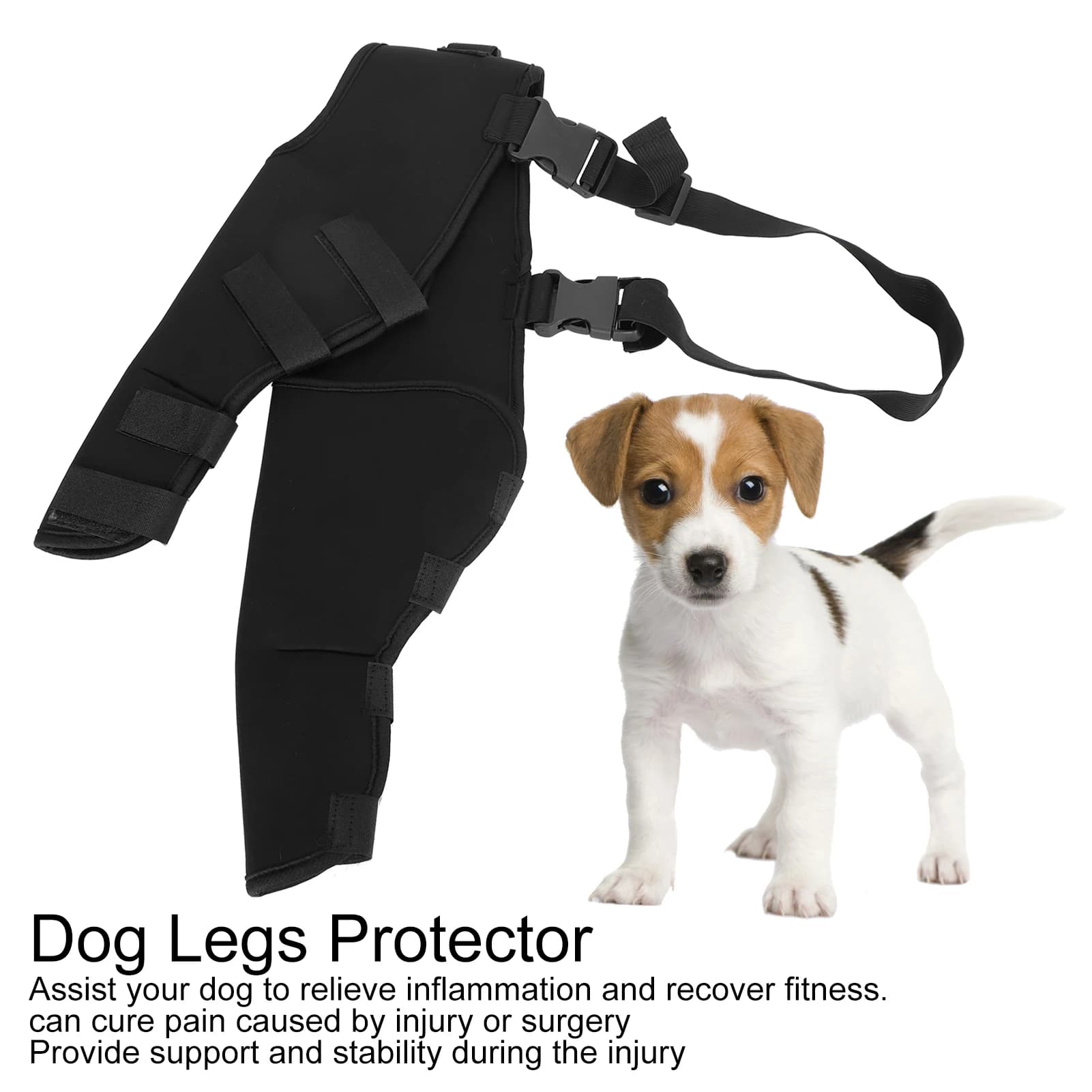 Protezione per le gambe posteriori del cane da compagnia Ginocchiera regolabile Supporto per le gambe per cani Recupera le gambe posteriori Ginocchiere regolabili per animali domestici Ginocchiera per cani