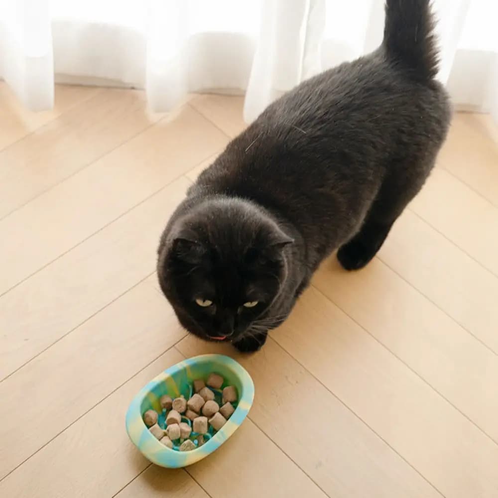 Ciotola in Silicone per Animali Domestici, Antiscivolo e Anti-ingozzamento, per Cani e Gatti