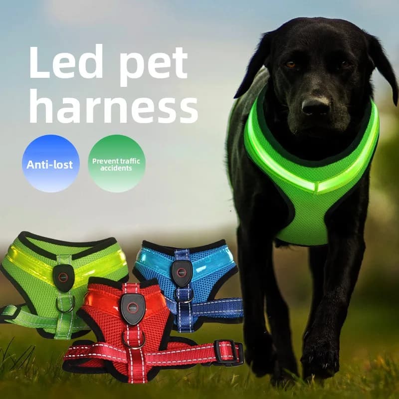 Nuovo Gilet Luminoso per Animali Domestici, Pettorina LED Lampeggiante per Cani, Abbigliamento per Passeggiate, Taglie Piccole, Medie e Grandi, Accessori per Cani