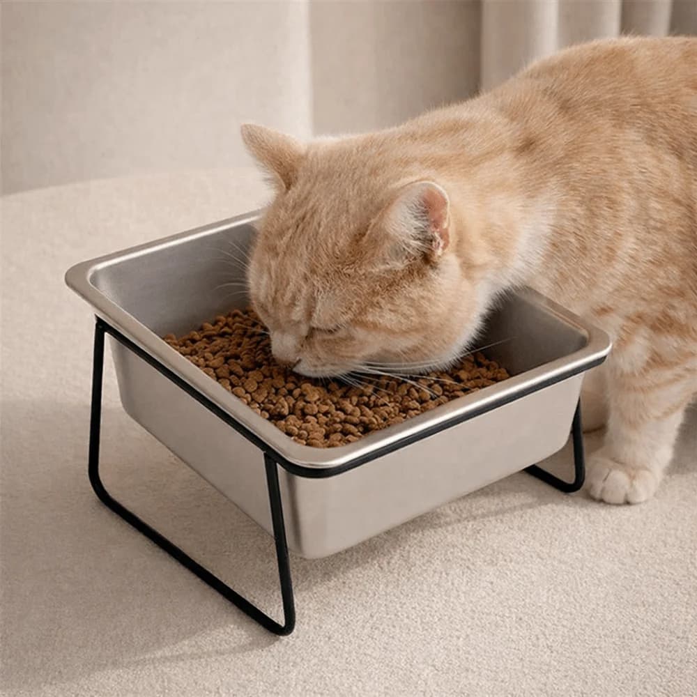 Ciotola Rialzata in Acciaio Inossidabile per Cani e Gatti, Anti-Ribaltamento, Protezione Collo, per Cibo e Acqua
