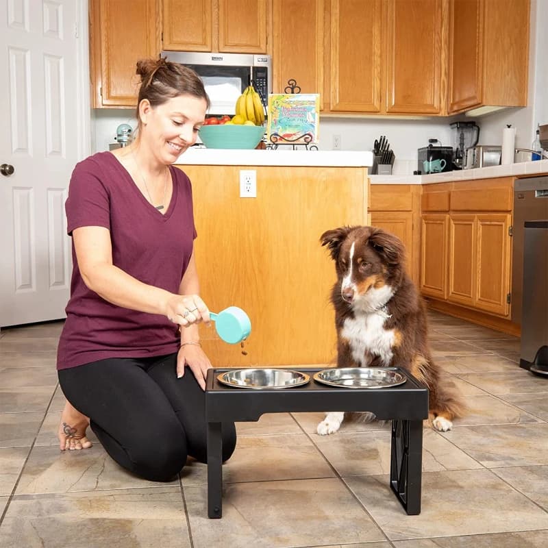 Ciotola Pieghevole per Animali Domestici, Doppia Ciotola per Acqua e Cibo, Ciotola Rialzata per Cani e Gatti, Ciotola per Alimentazione Lenta, Ciotola Pieghevole in Acciaio Inox per Cani e Gatti