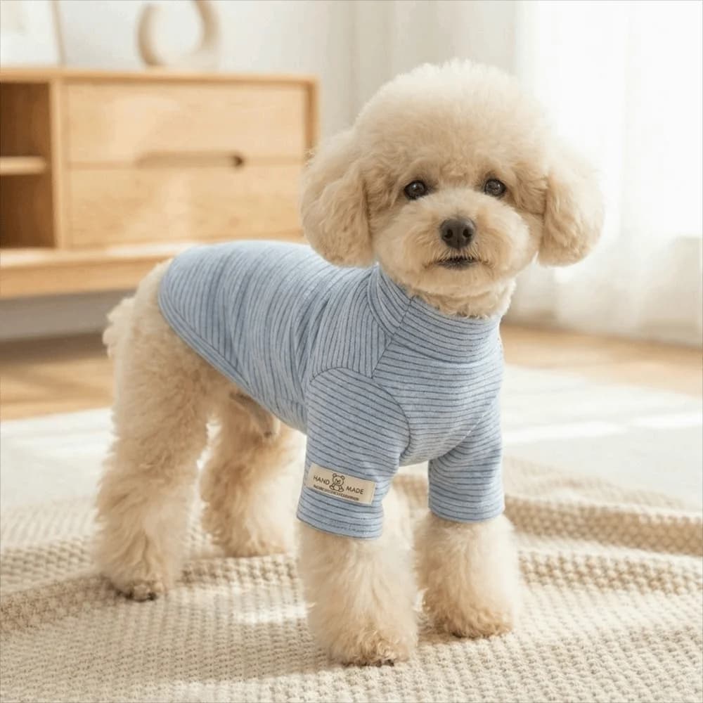 Maglietta a Righe per Animali Domestici con Collo Alto, Morbido Pullover Multicolore Caldo a Due Zampe per Cani, Abbigliamento Invernale