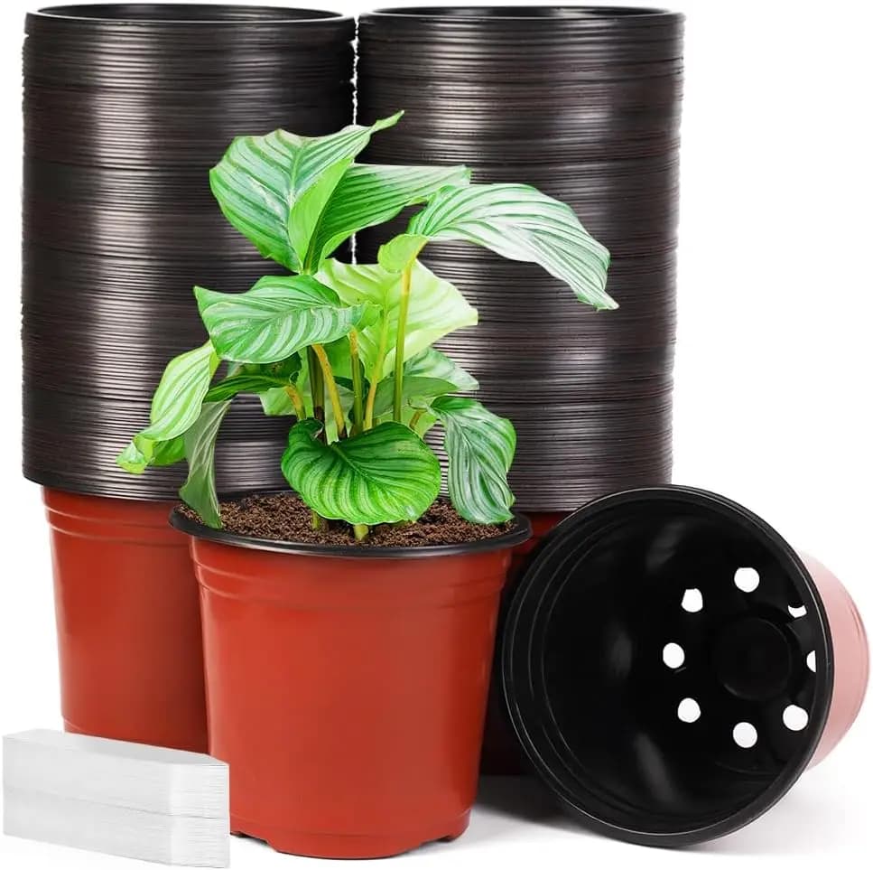 Pack of 200 6 inch plastic nursery vessels with drainage holes, plant containers and seed germination vessels.