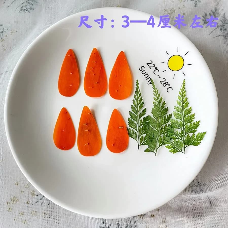 6 pezzi secchi pressati carota frutta verdura fette pianta erbario per gioielli exopy cornice per foto cassa del telefono segnalibro scrapbook fai da te