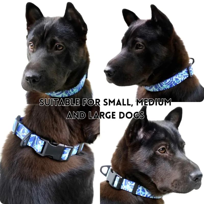 Guinzaglio per cani regolabile120 cmCortoLeadTrainingLeadNylonRopePetLest con comoda ManigliaPerMediumSmallDogWalkingControl