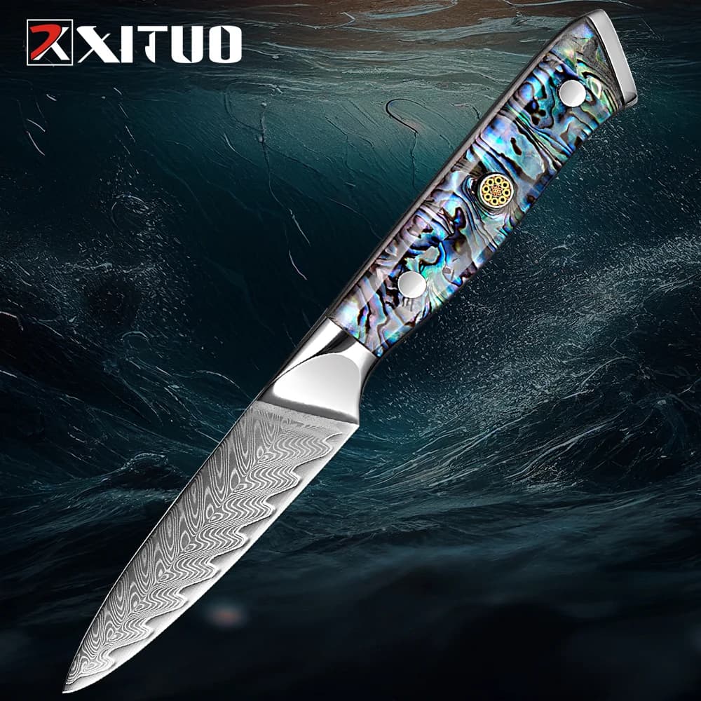 Coltello da Sbucciatura XITUO 3.5 Pollici in Acciaio Damascato VG10 Giapponese, Coltello da Cucina per Verdure e Frutta, Affilato come un Rasoio