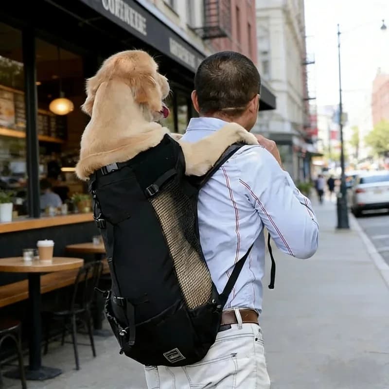 Zaino regolabile e resistente per cani, traspirante, di grandi dimensioni, per escursioni all'aperto e campeggio, per Golden Retriever, Bulldog, accessori per animali domestici