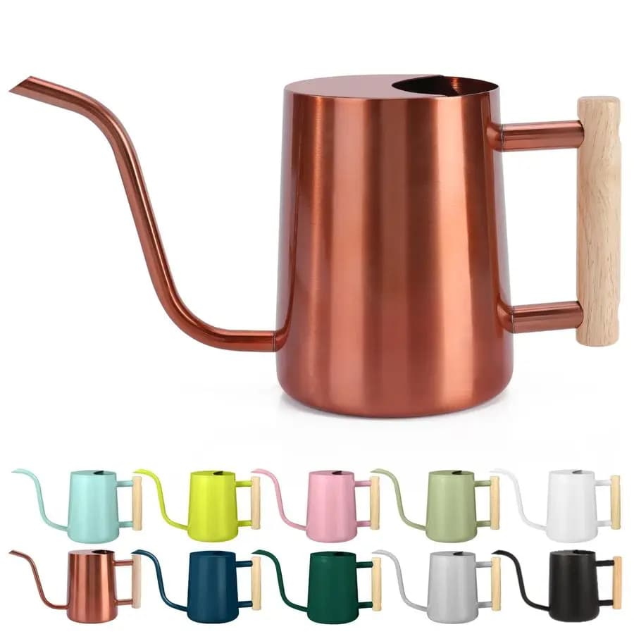Annaffiatoio in Acciaio Inox da 35oz per Piante da Interno, Moderno Vaso Decorativo con Beccuccio Lungo per Casa