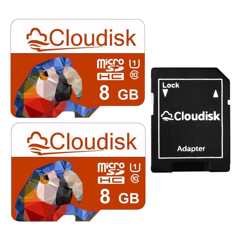 Confezione da 2 Cloudisk Micro SD 1GB C4 Scheda di memoria Flash 4GB 2GB C6 Microsd Card 128MB 256MB TF Mini SD Card con adattatore lettore in omaggio