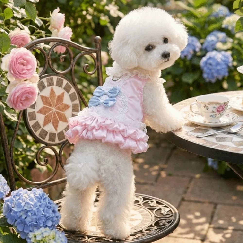 Elegante Vestito da Principessa Coreano per Cani, con Fiocco, Romantico Abito in Pizzo, Comoda Gonna a Palloncino per Cani, per Feste