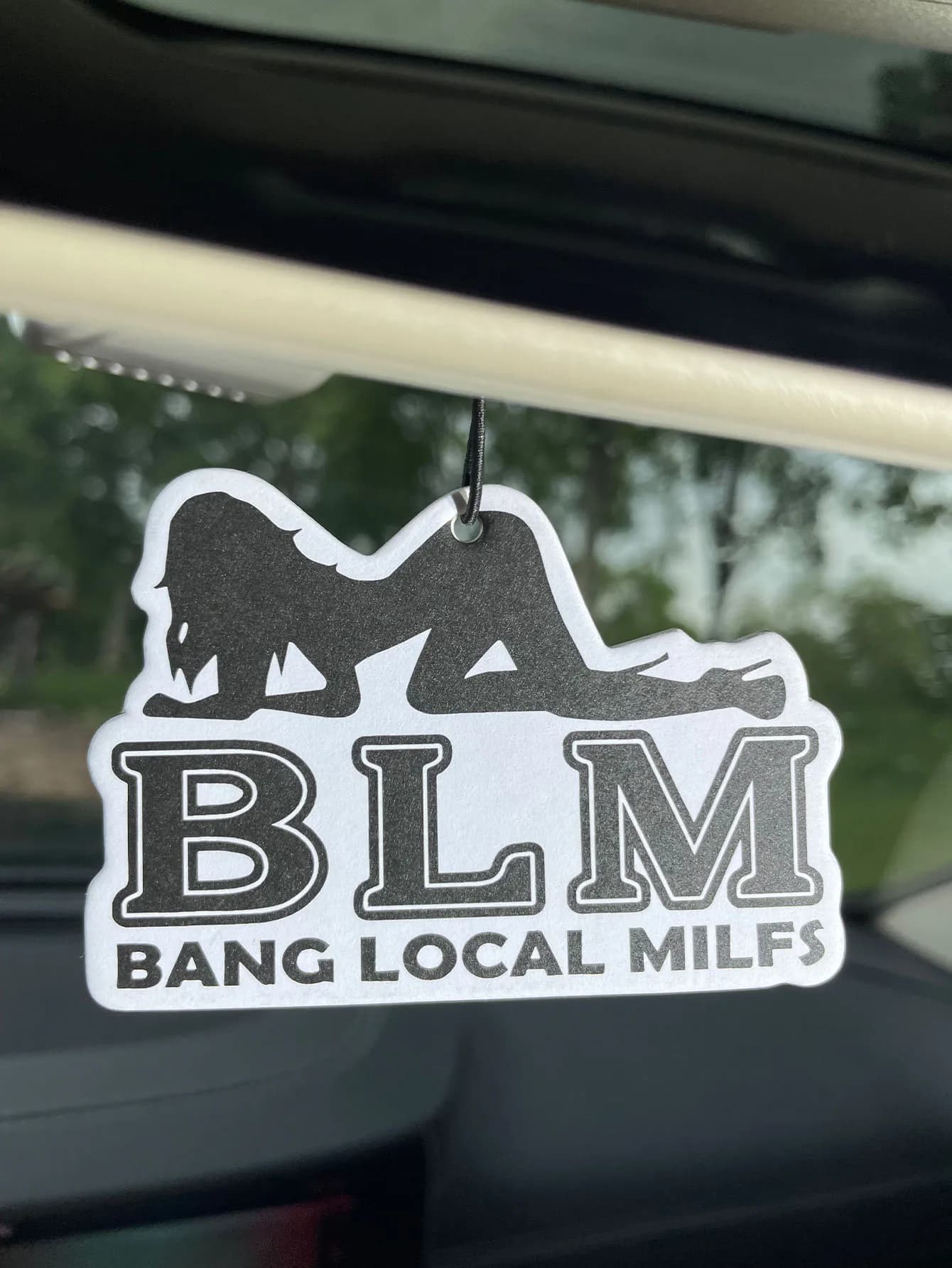 Profumo per Auto BLM Bang Local Milf/Fresh Fragrance, Deodorante per Auto a Cinque Stelle e Non Tossico | Oli Essenziali Naturali e Pastiglie Profumate per Aromaterapia (Noroili/Grapefruit/Cedro) | Modello da appendere e a doppio uso con clip di ventilazione | Fragranza a Lunga Durata per 60-90 Giorni | Deodorante e Purificatore d'Aria | Adatto per l'uso in auto, case, armadi e bagni. | Stessa fragranza della quell'altro profumo in vendita nel negozio