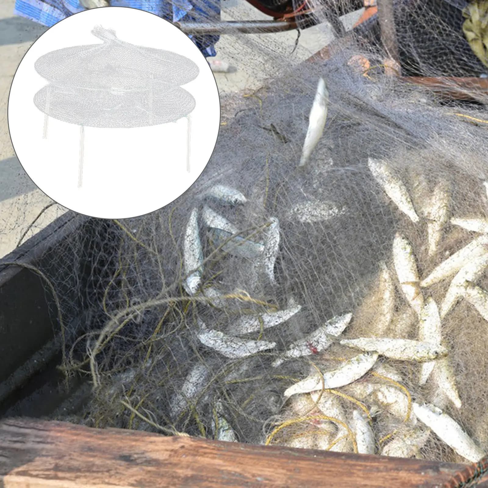 Nassa Rotonda Portatile per la Pesca di Gamberetti, Gamberi di Fiume, Granchi, Aragoste e Crostacei - Rete per la Cattura di Animali Acquatici per Uso Esterno