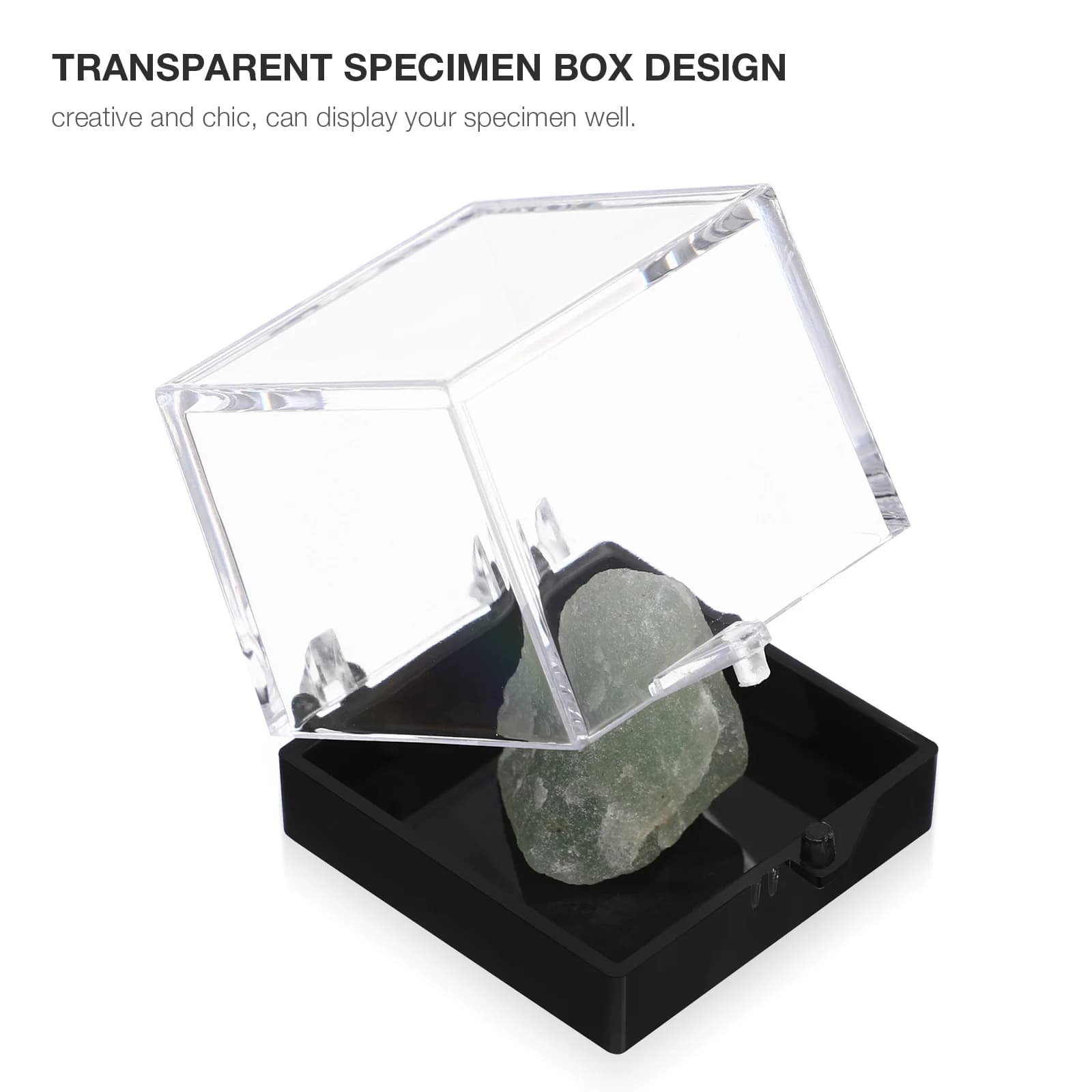 Vetrine quadrate per campioni da 12 pezzi Scatola di immagazzinaggio minerale in acrilico trasparente per la collezione di cristalli di roccia Organizzatore pratico