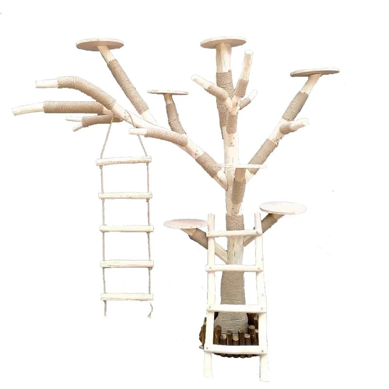 Telaio da arrampicata per gatti, tutto in legno massello, resistente all'usura, non appiccicoso, vero baule, grande albero per gatti, piattaforma per saltare per gatti integrata