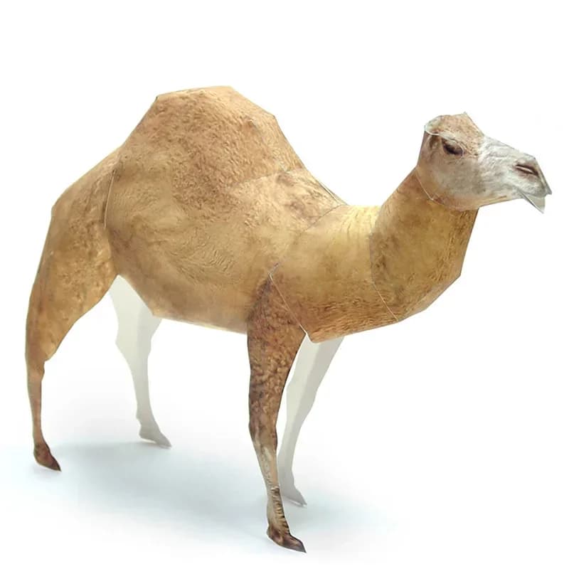 Arabian Dromedary Camel Paper Model Realistic Animal Mini Origami Art 3D Papercraft DIY Kids Adult Handmade Craft Toys WE-052