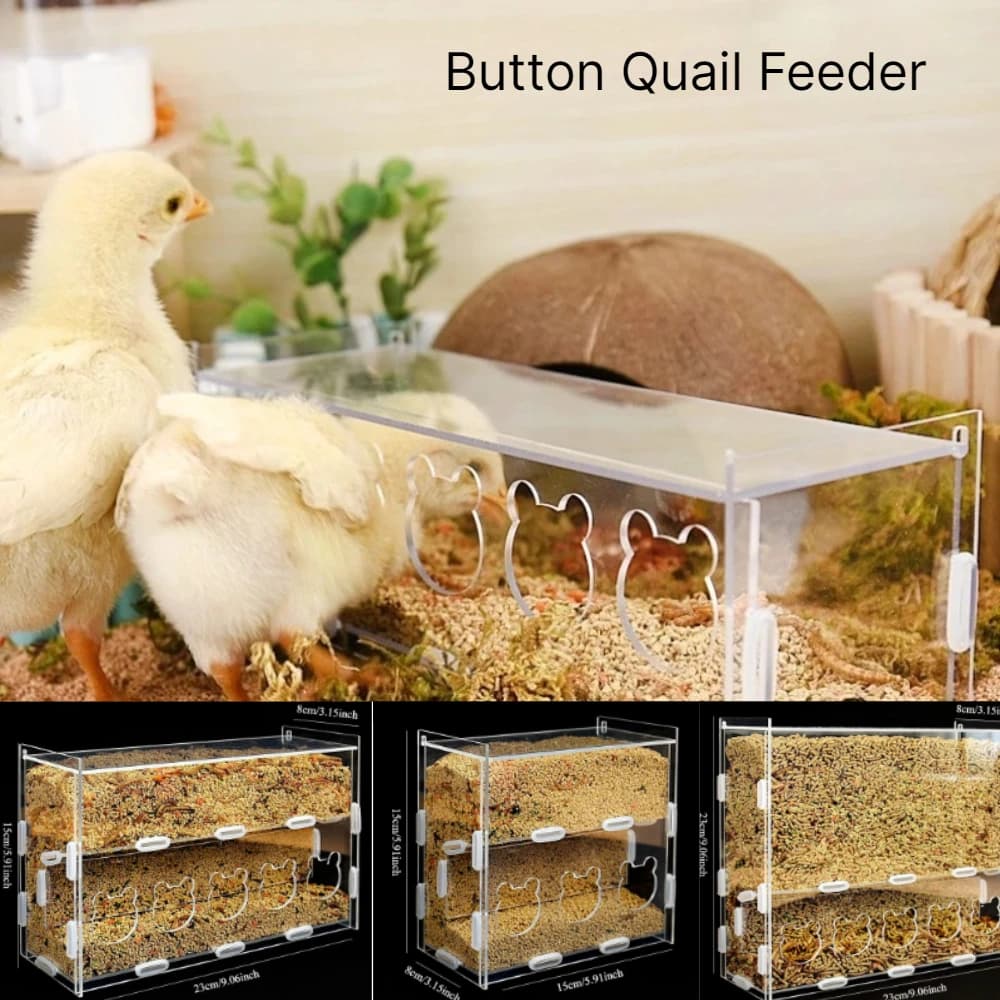 Acrylic Anti‑Splashing Bird Feeder Large Capacity Automatic Food Bowl For Parrot Quail Lizard Small Pets